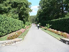 010 Longwood Gardens [2008 August 23]